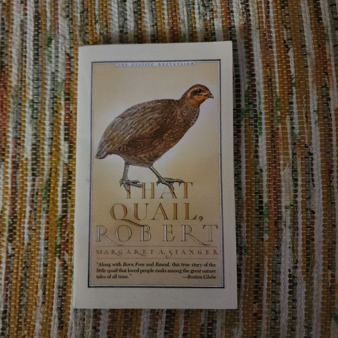 That Quail, Robert