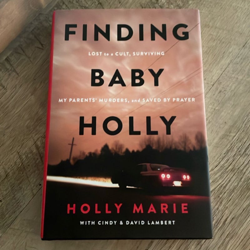 Finding Baby Holly