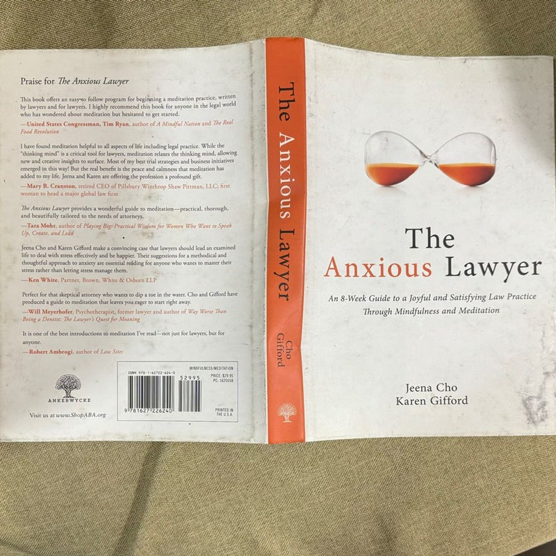 The Anxious Lawyer