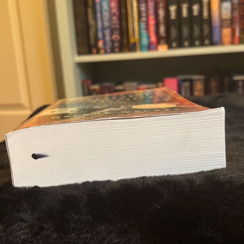 The Hidden Palace (Large Print Edition) 