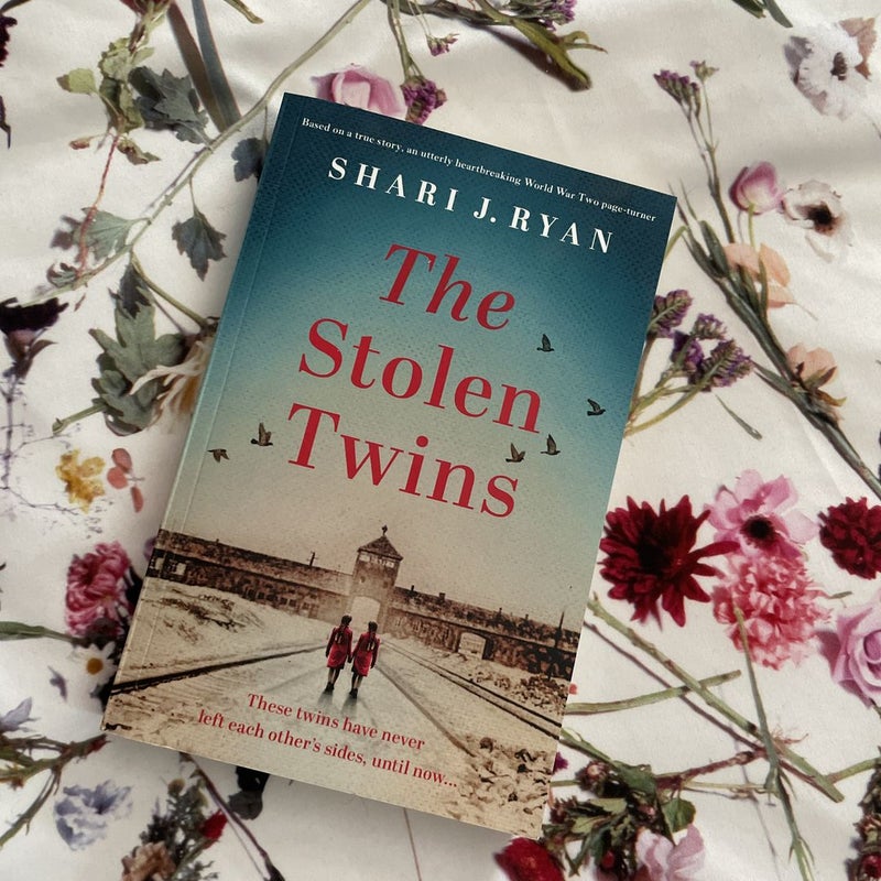 The Stolen Twins