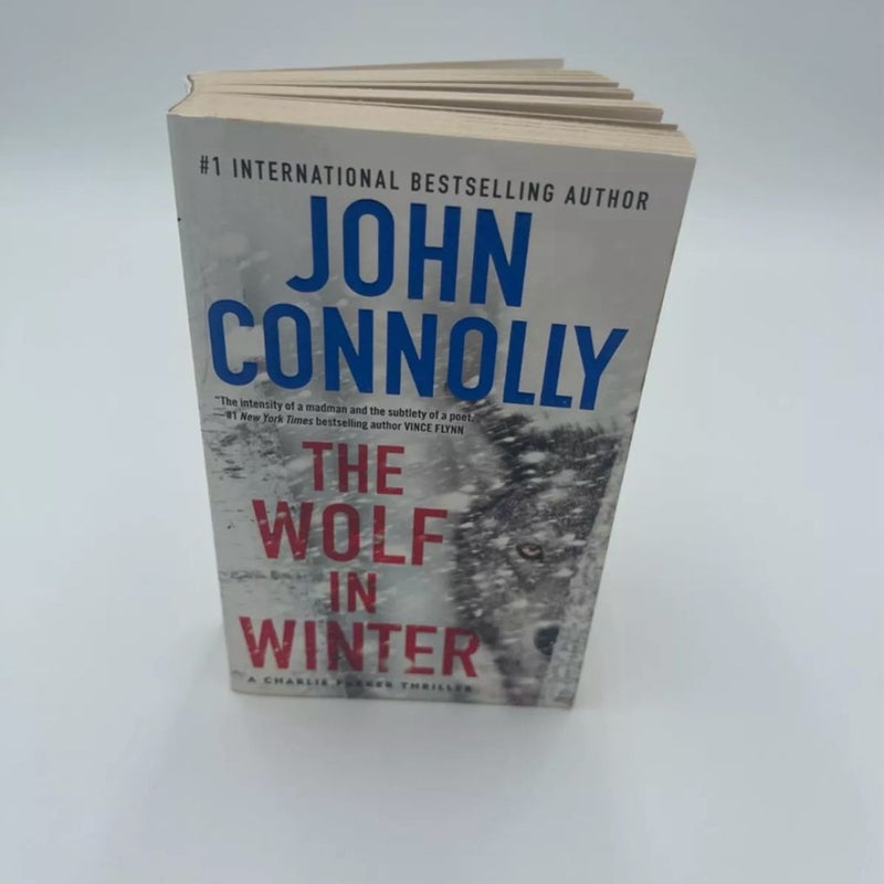 The Wolf in Winter