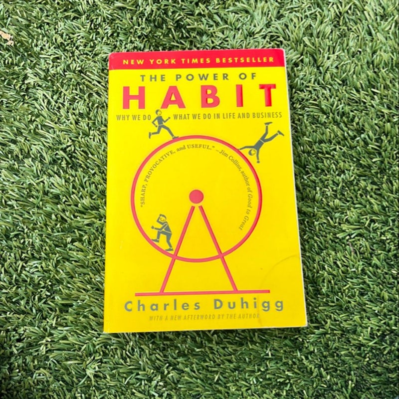 The Power of Habit