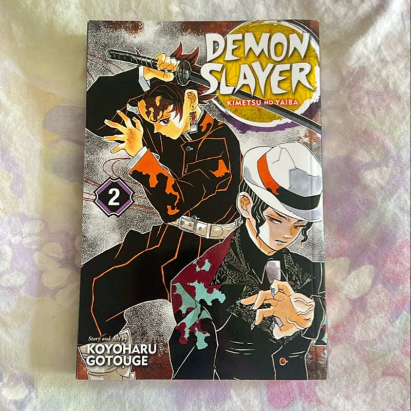 Demon Slayer: Kimetsu No Yaiba, Vol. 2