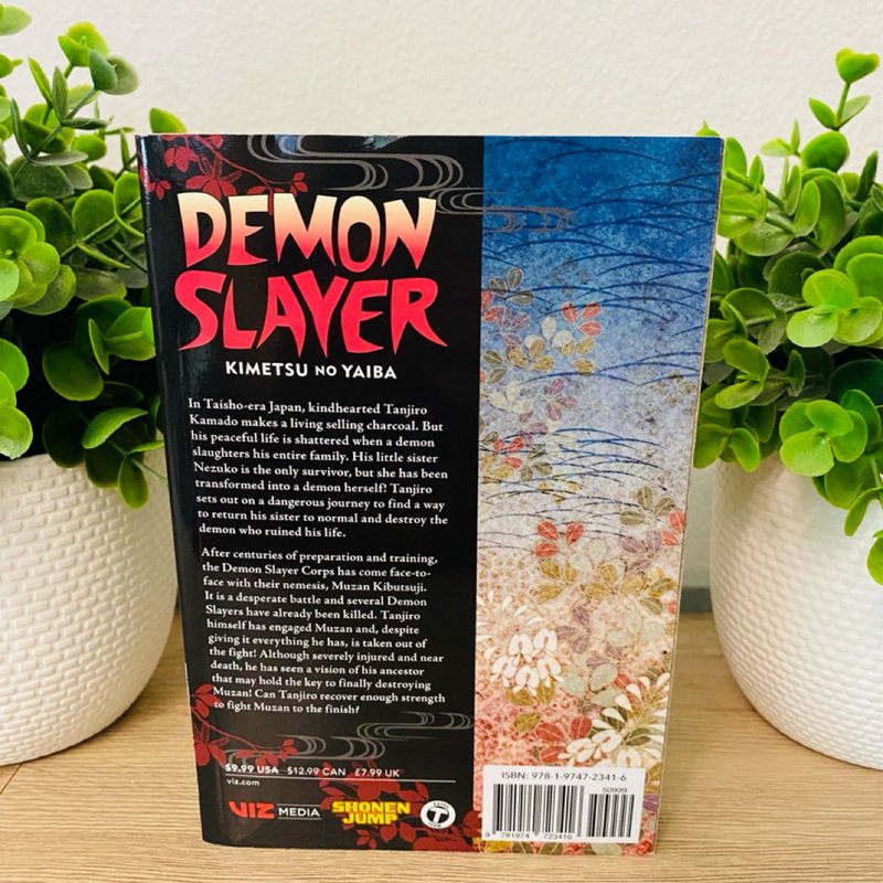 Demon Slayer: Kimetsu No Yaiba, Vol. 22 by Koyoharu Gotouge
