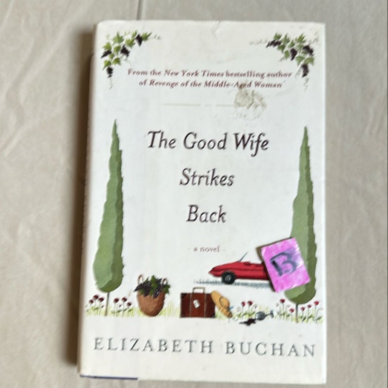 The Good Wife Strikes Back