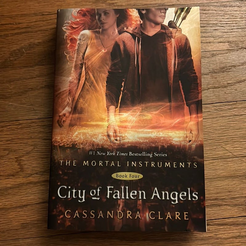 City of Fallen Angels