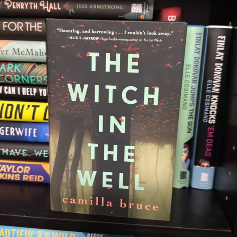 The Witch in the Well