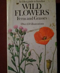 A Colour Guide to Familiar Wild Flowers, Ferns and Grasses