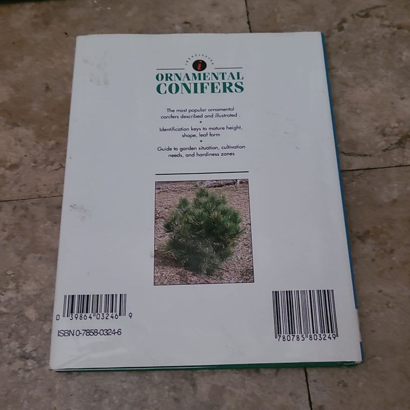 Identifying Guide to Ornamental Conifers