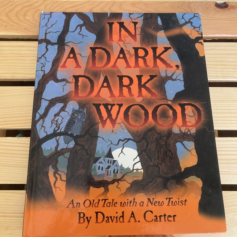 In A Dark, Dark Wood