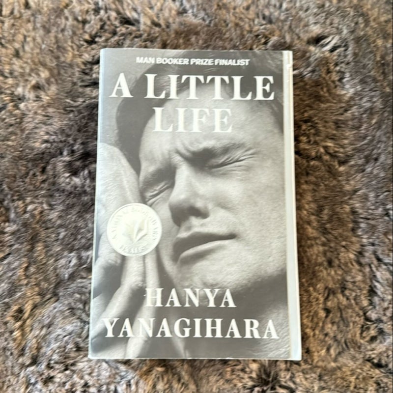 A Little Life