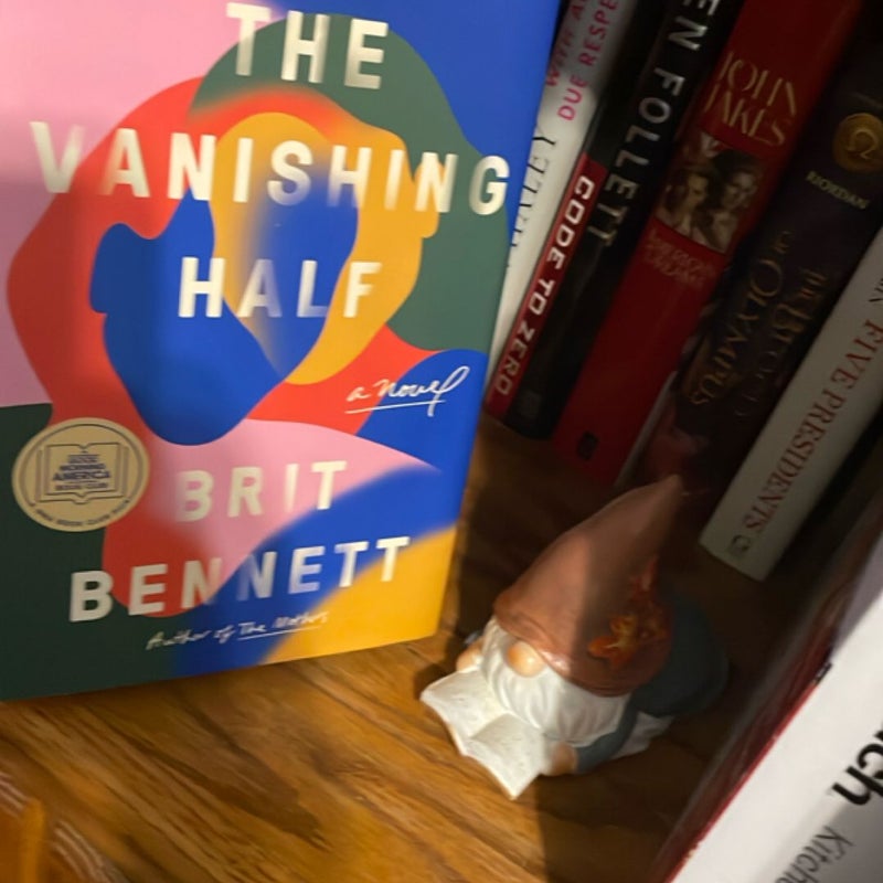 The Vanishing Half