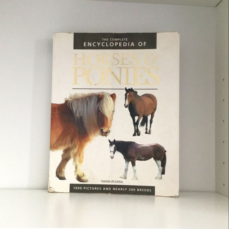 Horse & Ponies