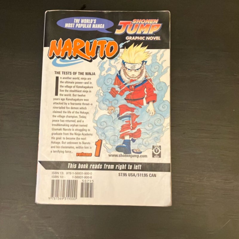 Naruto, Vol. 1