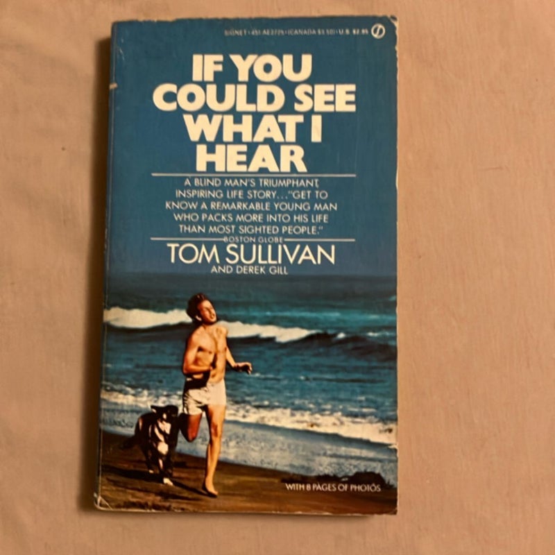 If You Could See What I Hear