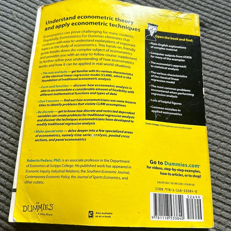 Econometrics for Dummies by Roberto Pedace, Paperback Pangobooks