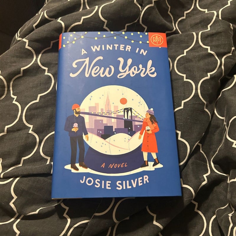 A Winter in New York