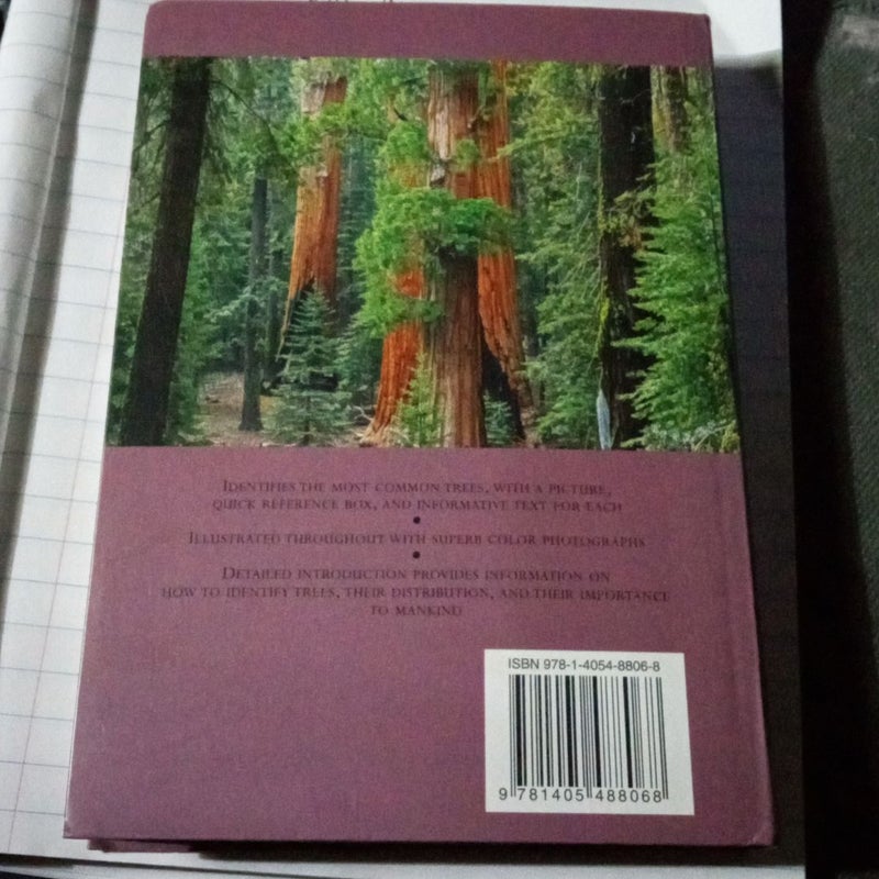 A Pocket Guide to Trees