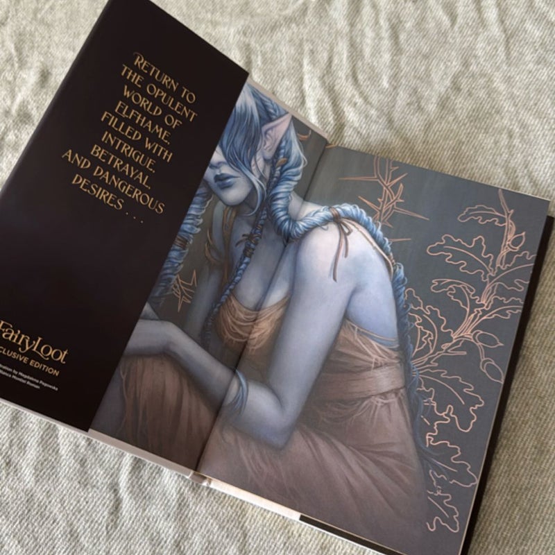 The Stolen Heir (Fairyloot Edition)
