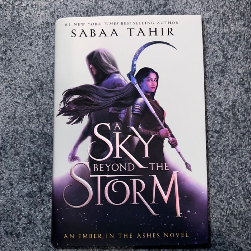 A Sky Beyond the Storm