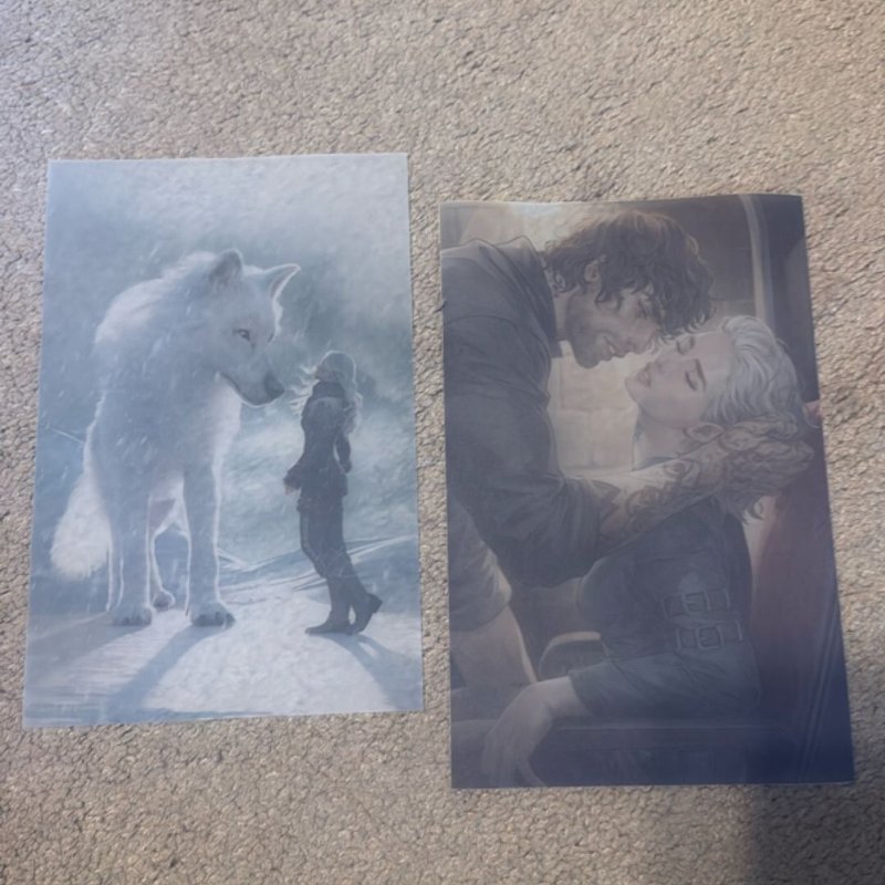 Dire Bound - signed- reserved for Marissa