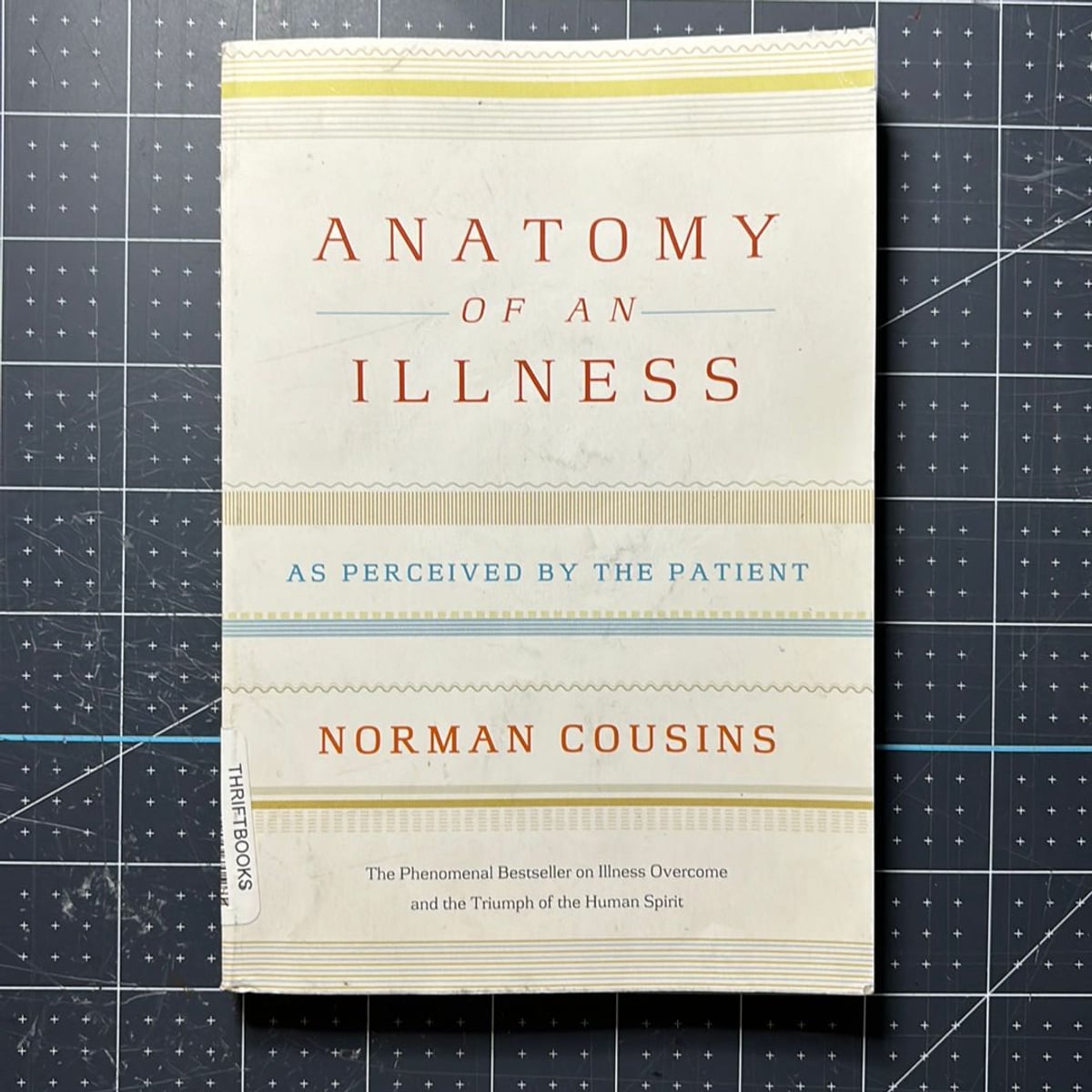 Anatomy of an Illness as Perceived by the Patient by Norman Cousins