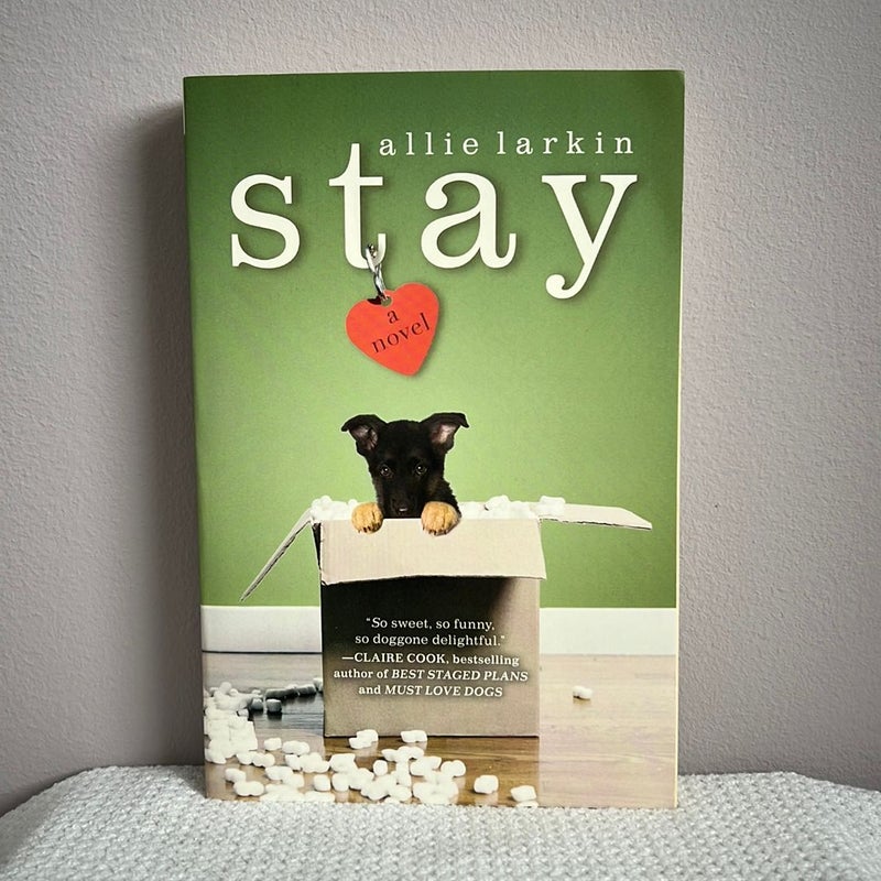 Stay