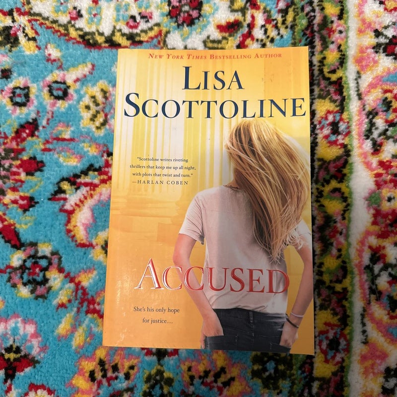 Accused: a Rosato and Dinunzio Novel