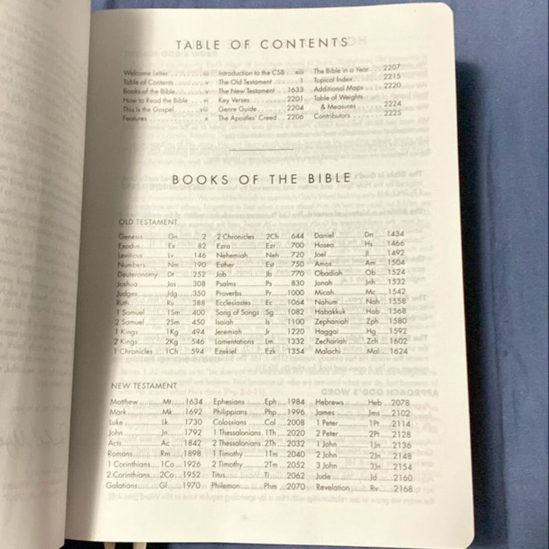 ‘She Reads Truth’ Bible