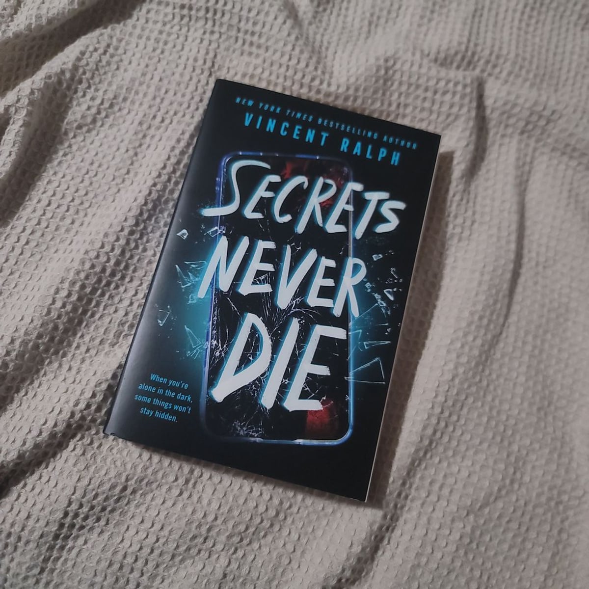 Secrets Never Die by Vincent Ralph