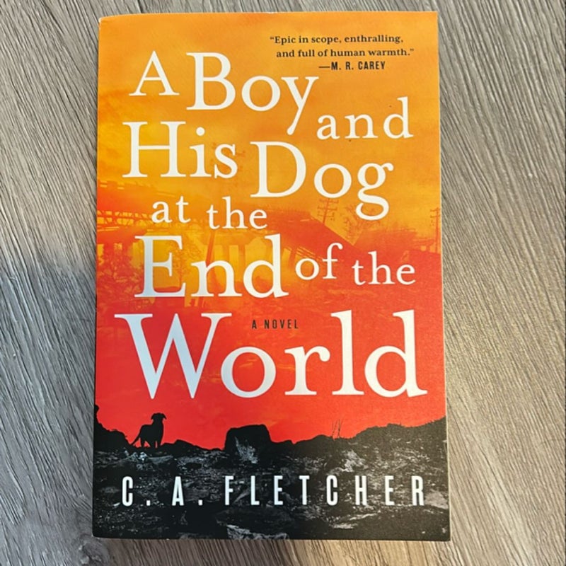 A Boy and His Dog at the End of the World