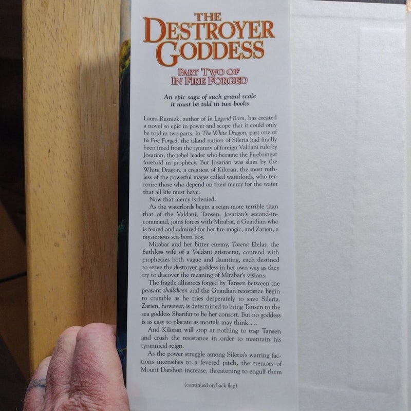 The Destroyer Goddess