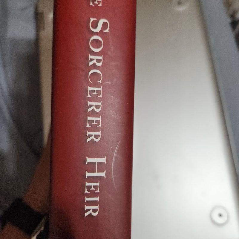The Sorcerer Heir