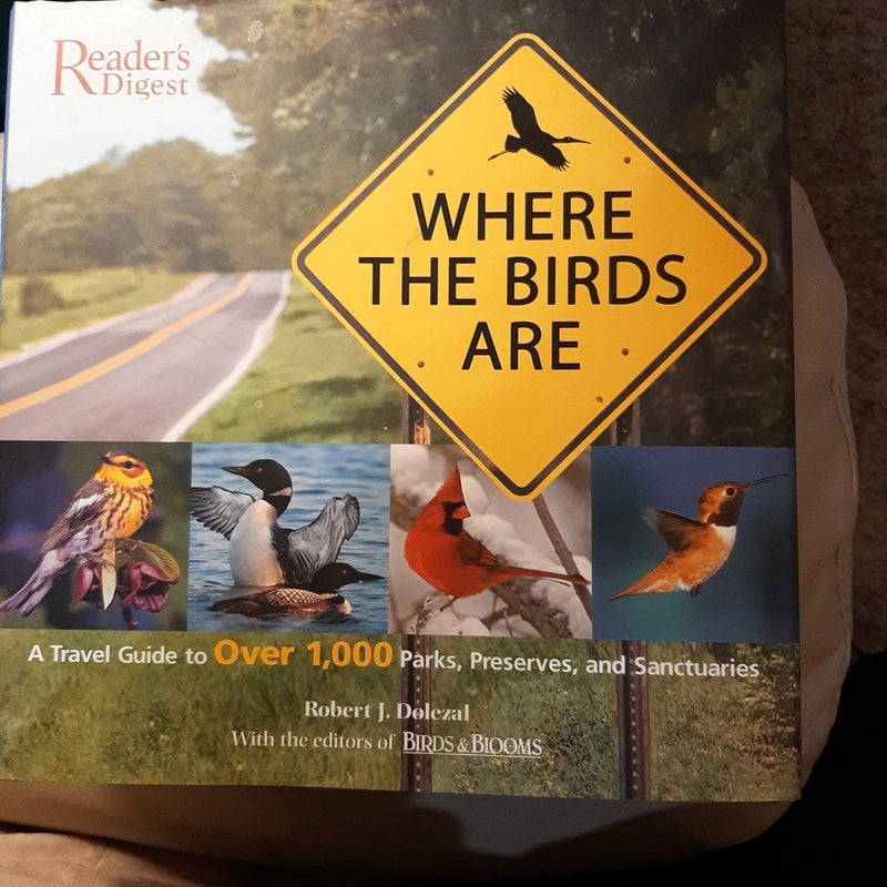 Where the Birds Are