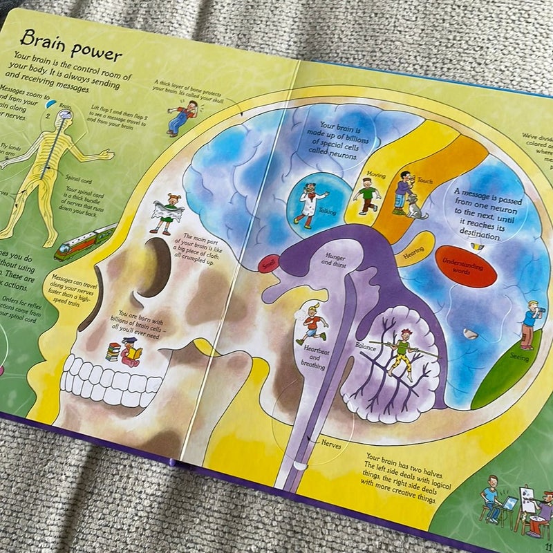 USBORNE Flap See Inside Your Body