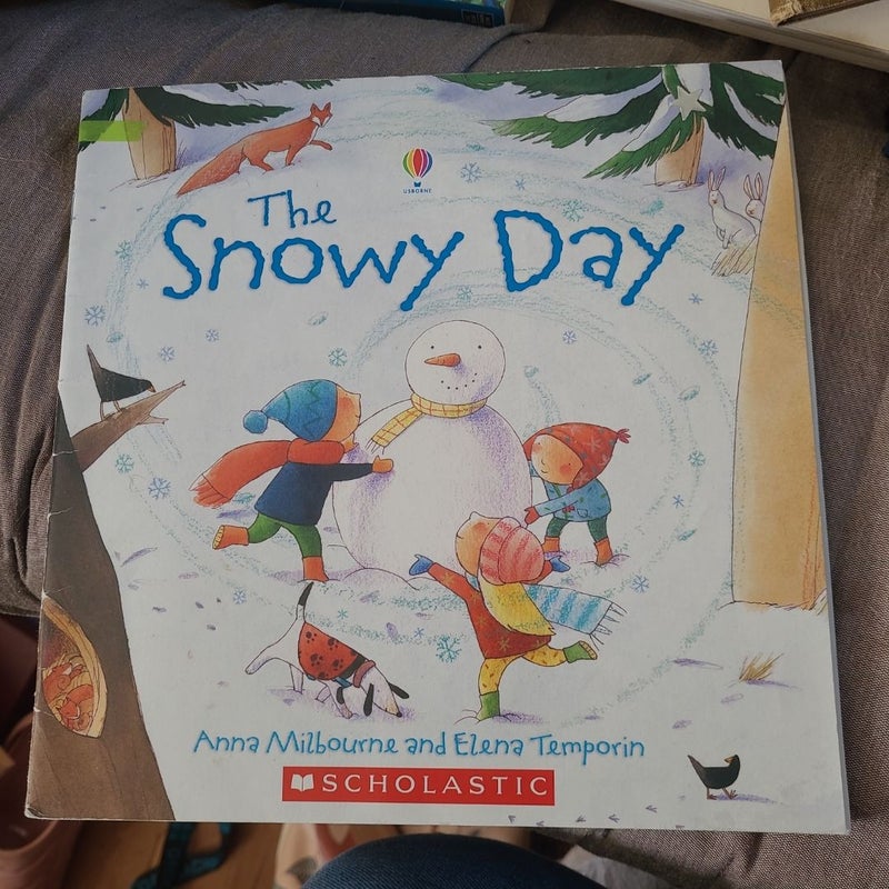 Little Board Books: the Snowy Day