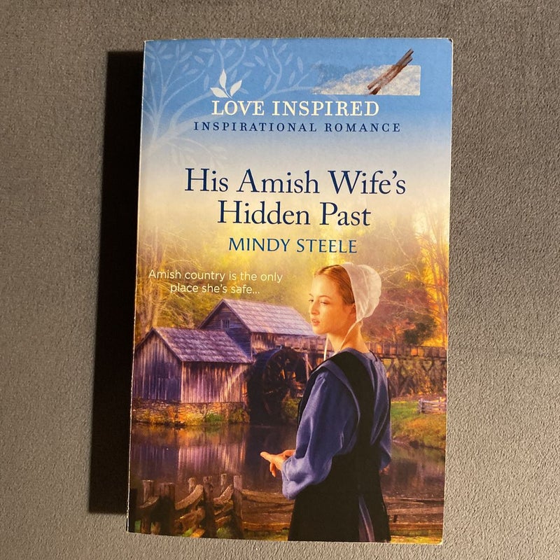 His Amish Wife's Hidden Past