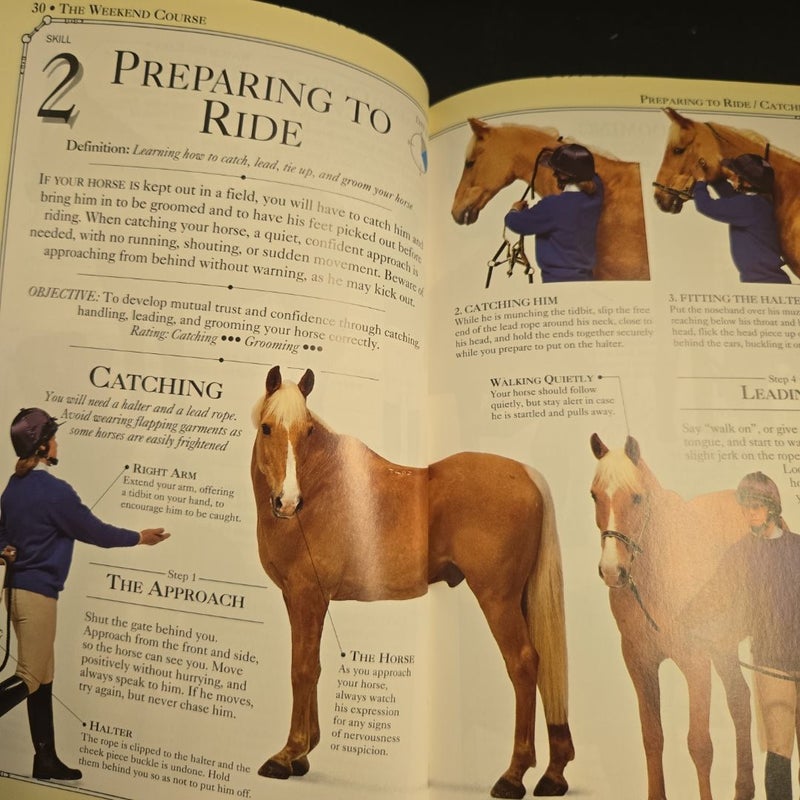 Learn Horseback Riding in a Weekend