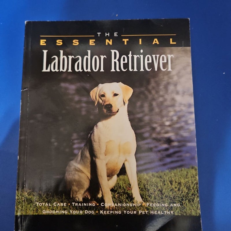 The Essential Labrador Retriever