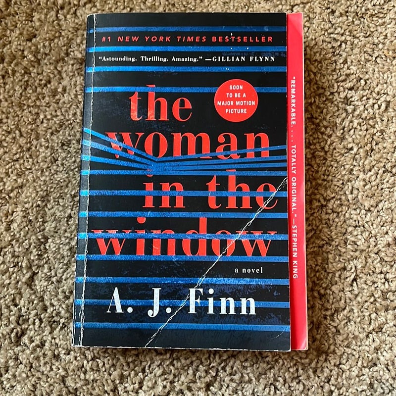 The Woman in the Window