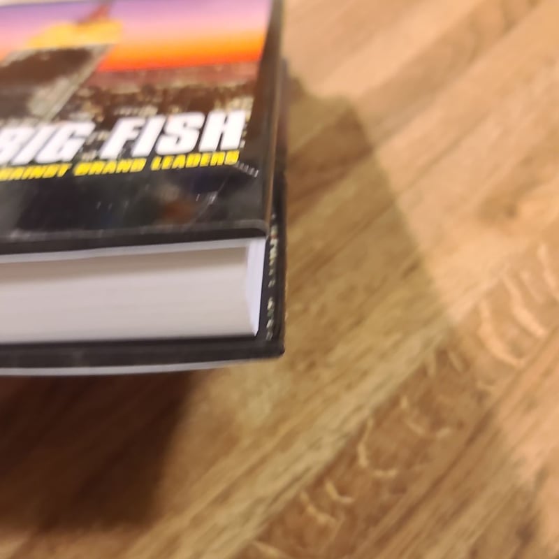 Eating the Big Fish by Adam Morgan