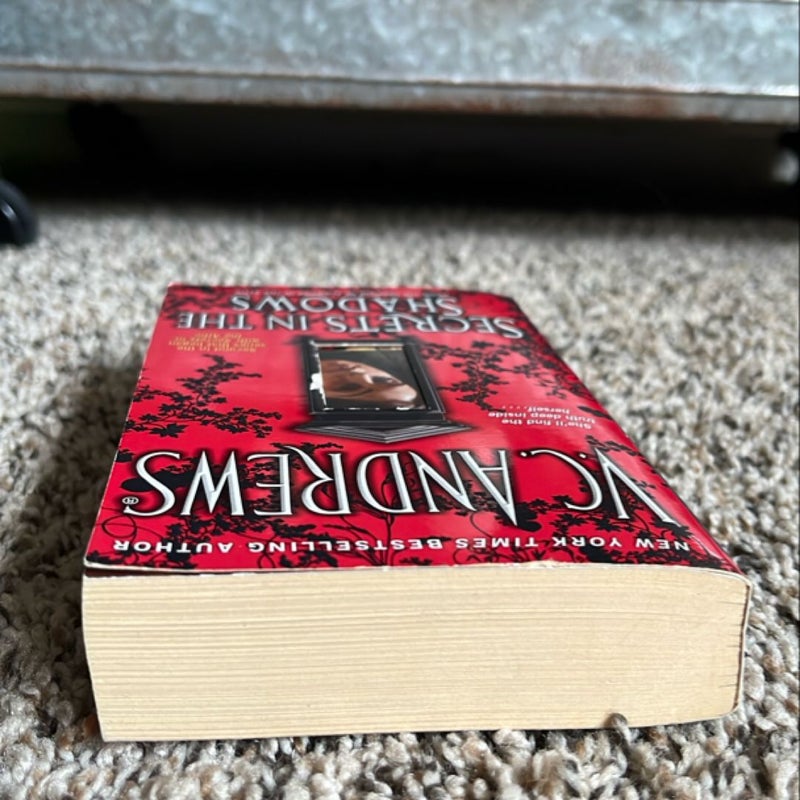 Secrets in the Shadows (vintage Stepback )