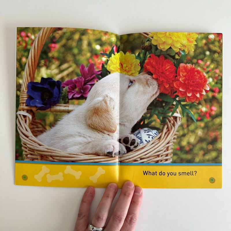 Jump, Pup! National Geographic Kids