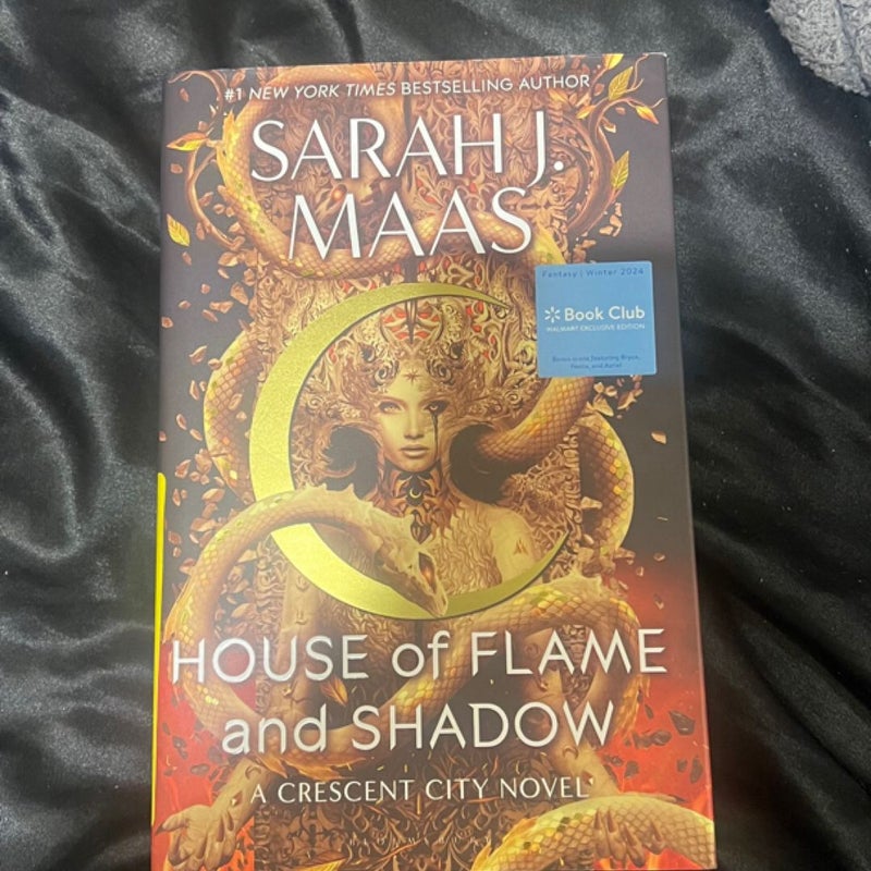 House of Flame and Shadow