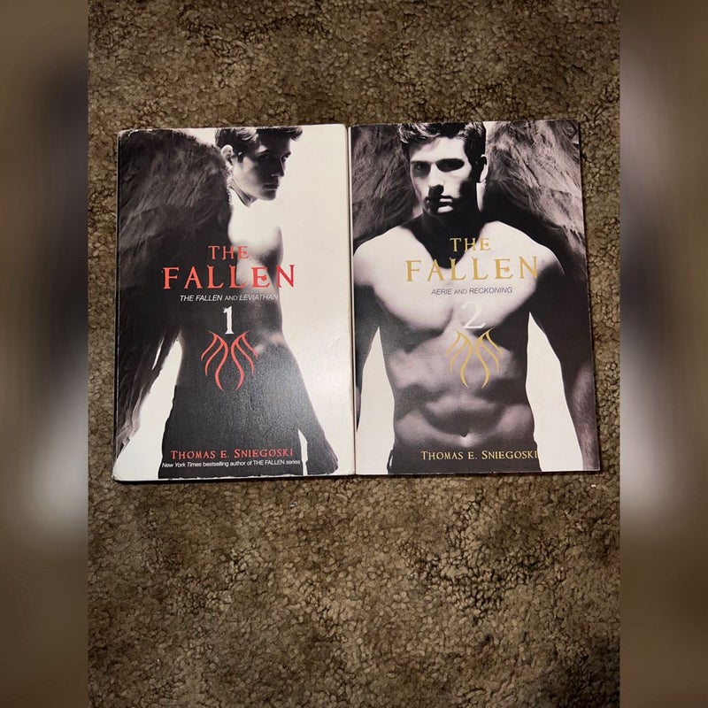 The Fallen Series: Books 1 & 2