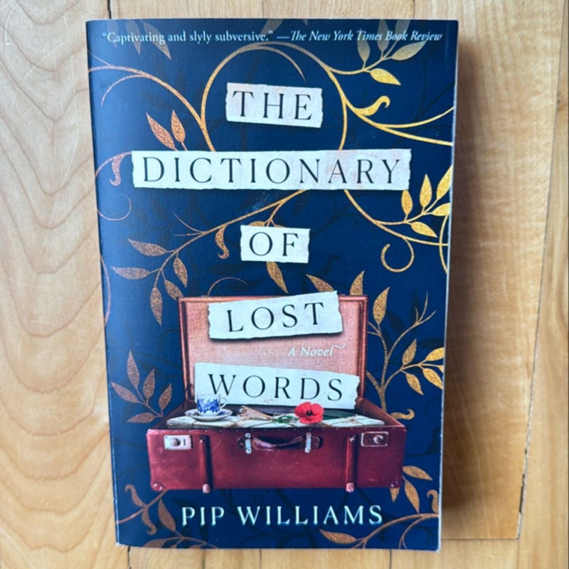 The Dictionary of Lost Words