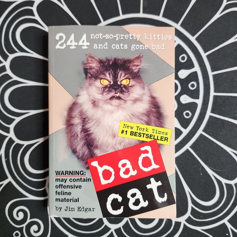 Bad Cat