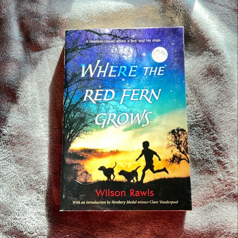 Where the Red Fern Grows