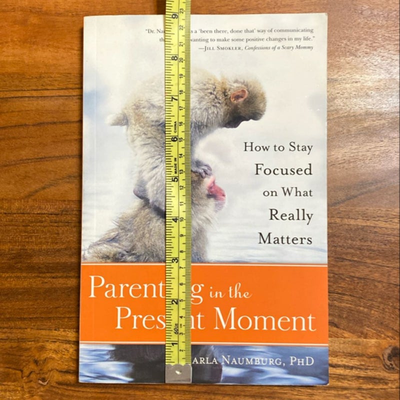 Parenting in the Present Moment